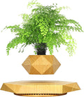 Levitating Plant Pot,Magnetic Floating Plant Pot for Small Plants,360°Rotating Levitating Desk Decor for Home & Office,Floating Pot Gift for Plant Lovers,Birthday, Christmas, New Year(Wood)