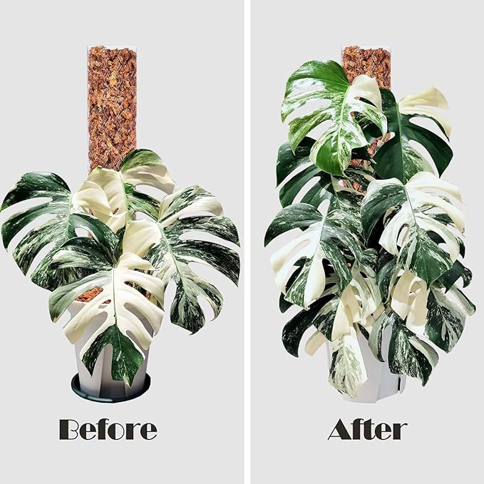 2 Pcs 17 Inch Plastic Moss Pole for Plants Monstera,Designed Specifically for Climbing Plants, Stackable Plant Support for Indoor Plants