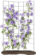 2-Panel Folding Garden Trellis - Maximize Your Garden Space, Durable Powder Coated Steel Frame, Easy-to-Use Design, Perfect for Climbing Vines, Vegetables, Beans, Tomato, Cucumber, 35x58"