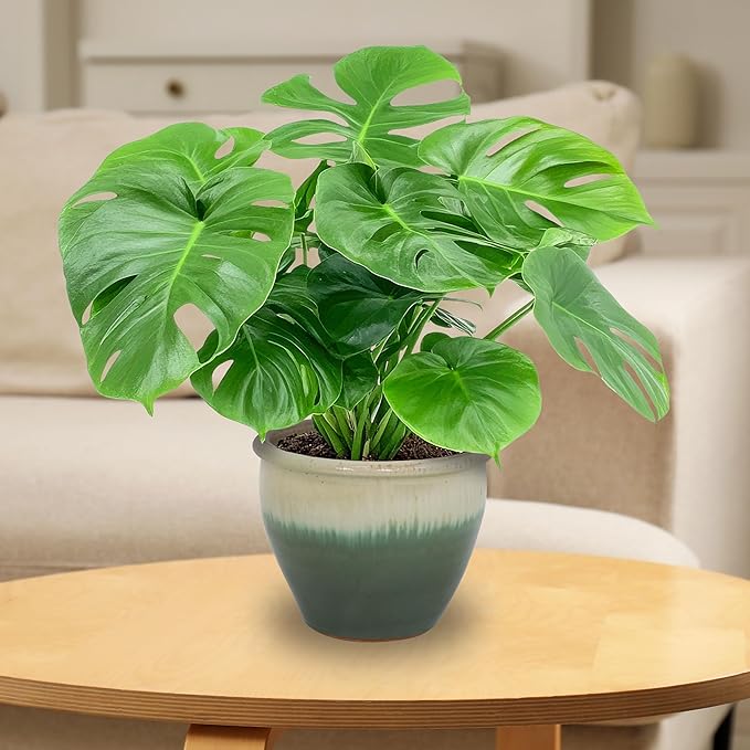 Sunnydaze Round Ceramic Planter - Set of 2 Indoor or Outdoor Plant Pots with Drainage Hole - Chalet - 12" - Seafoam Glaze