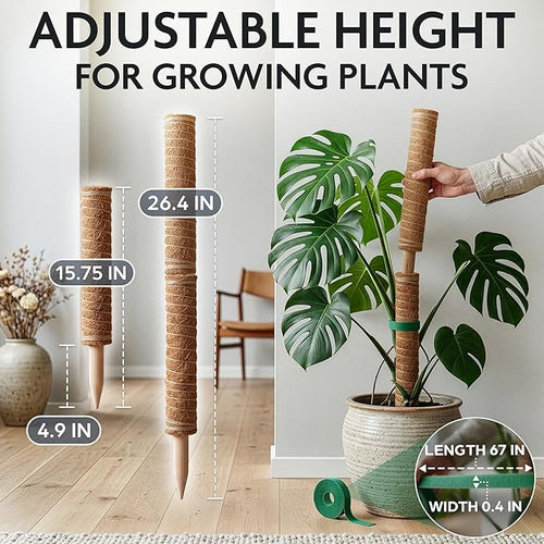 2 Pcs Small Moss Pole Monstera Plant Support Set - 15.75" Pothos Plant Climber Support with Connectable Design, Fixation Strip, Coconut Fiber Moss Poles for Monstera Plants, Money Plants, Philodendron