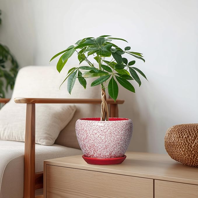Ceramic Plant Pots - 6 Inch Pots for Plants Indoor Outdoor, Modern Planter with Drainage Hole and Tray, Round Decorative Flower Pot, Home Office Decor, House Warming Gifts, Crackle Red