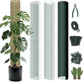 Metal Moss Poles for Climbing Plants, D-Shape Sphagnum Moss Pole Monstera Plant Support for Climbing Plants, DIY Plant Stakes Work with Sphagnum Moss (12ft D-Shaped)