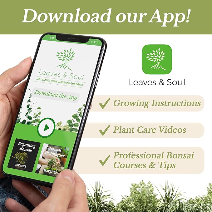 Professional Peace Lily Soil 8.2 Quarts Ready to Use, Premium Potting Soil for Peace Lily Plant Indoor, Peat Moss Coco Coir Perlite Dolomite, Well Draining Peace Lily Potting Soil Made in USA