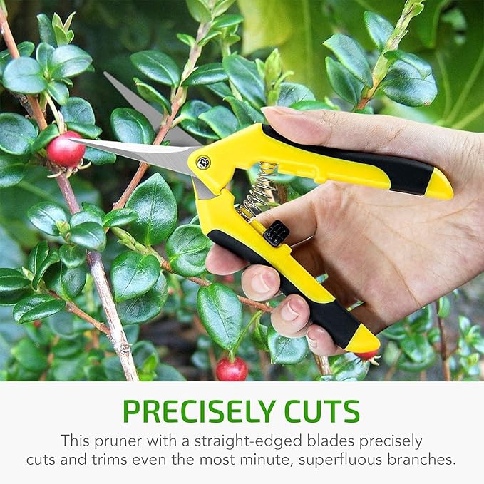 iPower 6.5 Inch Gardening Scissors, Heavy-Duty Hand Pruner Pruning Shear for Gardening and Trimming, Ultra Sharp Stainless Steel, 10 Pack, Yellow