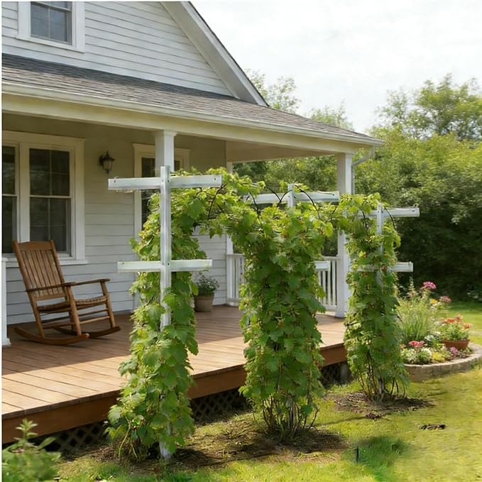 Grape Vine Trellis 7ft Tall 3pcs Set for Raspberry and Grape Plants, Heavy Duty, Easy to Install Vineyard Trellis, Fiberglass Rust-Proof, (84inch 3Trellises)