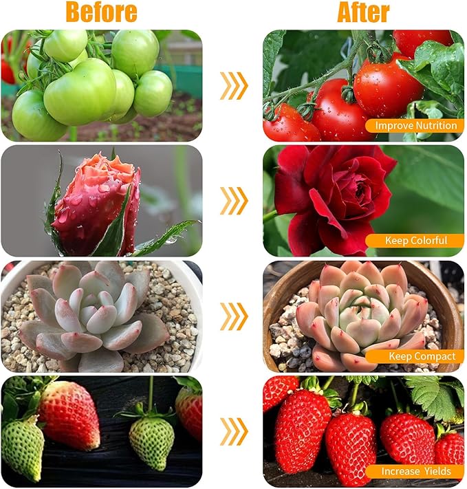 LED Clip-On Plant Growth Light - Auto On/Off Timer 4/8/12h - Dual Heads with Flexible Swan Necks - Full Spectrum LED - 3 Modes, 10 Dimmable Levels - Indoor Use for Seedlings, Succulents