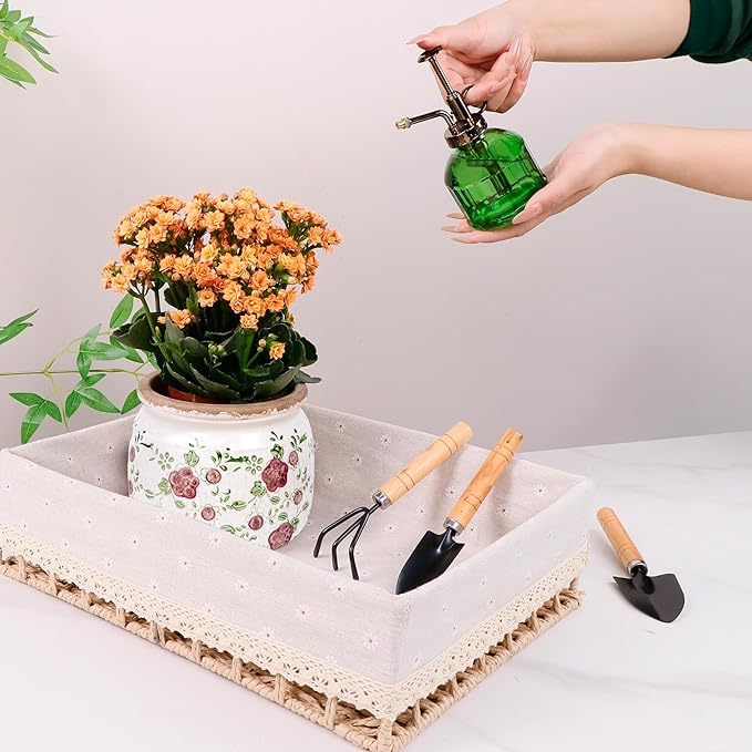 Dosayes Ceramic Pot for Planter, Vintage Red Plum Flower Pot with Drainage Holes, 6.29 inch Ice Crack Glazed Indoor Planters Pot