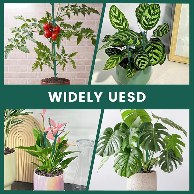 Decorative Stackable Twig, Plant Support Frame & Cage Support Rings, Plant Holder Stick with Clamps, Twig Trellis with 5 Poles for Indoor Outdoor, Potted Plants Flower Climbing Plants ﻿ (Green（B)