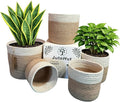 Planter Basket Set – 5-Piece Handwoven Jute Planter Basket for Home Decor, Nursery, or Indoor Plants (5'' to 8'' Diameter, 4.75'' to 7.75'' Height) – Fold & Wrinkle Free - Natural Jute with White Band