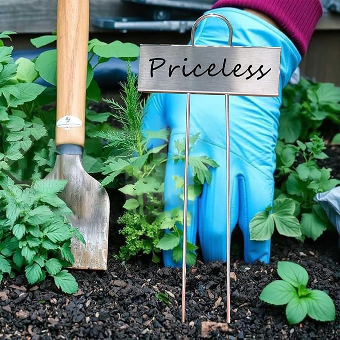 Plant Labels Metal 304 Stainless Steel Garden Plant Markers Weatherproof Garden Stake Tag Plant Tags with Pen for Outdoor Seedling Flower Herb Vegetable Greenhouse(30 Pack) (Stainless Steel)