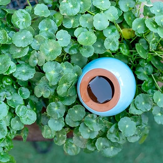 MOUGIGI Self-Watering Planter Insert - 2 Pack Automatic Watering System for Indoor and Outdoor Potted Plants - Eco-Friendly Blue & Green Design with 300ml Capacity for Vacation Moisture Control