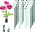 Kingsyard 36 Inch Plant Support Stake - 20 Pack, 4.5mm Thick All Metal Garden Plant Stakes Plant Prop for Single Stem Flowers Dahlia Lily Rose Peony Hydrangea Tomatoes Sunflower Gladiolus