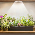 Stick-On Under Cabinet Grow Lights with Timer, High PPFD Sun-Like Full Spectrum LED Puck Light for Indoor Plants, Succulents, Mini Spotlight for Shelves, Terrarium & Display Case (3500K Warm White)