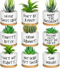 Domensi 9 Pcs Funny Succulent Pots Cute Aloe Cactus Planter with Bamboo Tray Ceramic Accessories White Mini Flower Drainage Tray Pots Indoor Outdoor Plants Birthday Gifts Housewarming Women Coworker