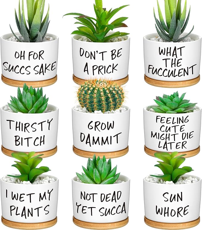 Domensi 9 Pcs Funny Succulent Pots Cute Aloe Cactus Planter with Bamboo Tray Ceramic Accessories White Mini Flower Drainage Tray Pots Indoor Outdoor Plants Birthday Gifts Housewarming Women Coworker