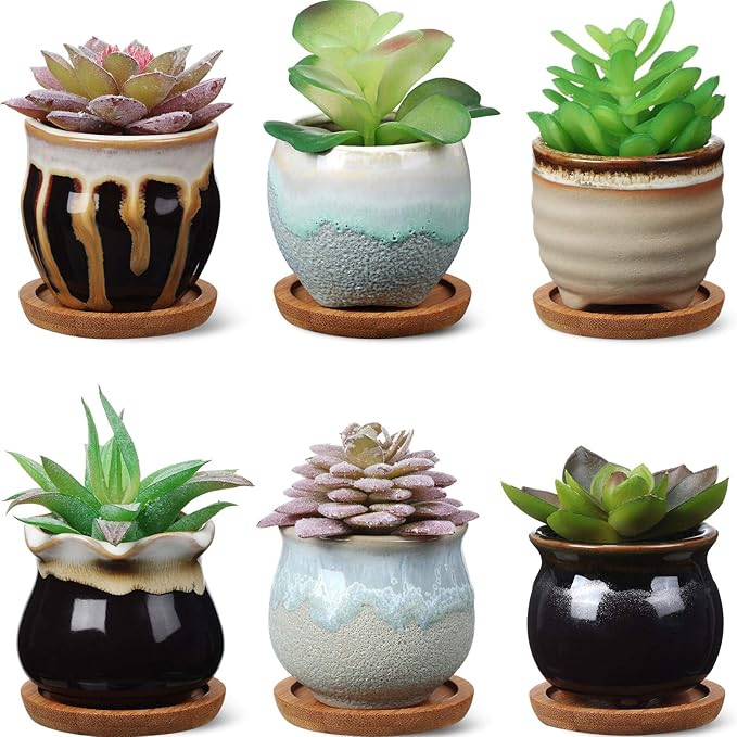 BBTO 6 Set Mini Succulent Pots Bulk with Drainage and Bamboo Tray 2.9 x 3.1 Inch Small Cute Ceramic Succulent Planter Pot Garden Glaze Container Ideal Present for Cactus Office Home Decoration Gift