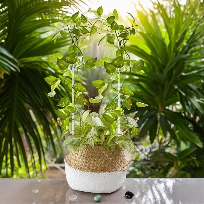 2 Pack U-Shaped Plant Trellis Indoor, Clear Acrylic Pothos Plant Climber Support, Trellis for Potted Plants Climbing Small Garden Plants Trelli Houseplant Accessory for Potted Ivy Outdoor