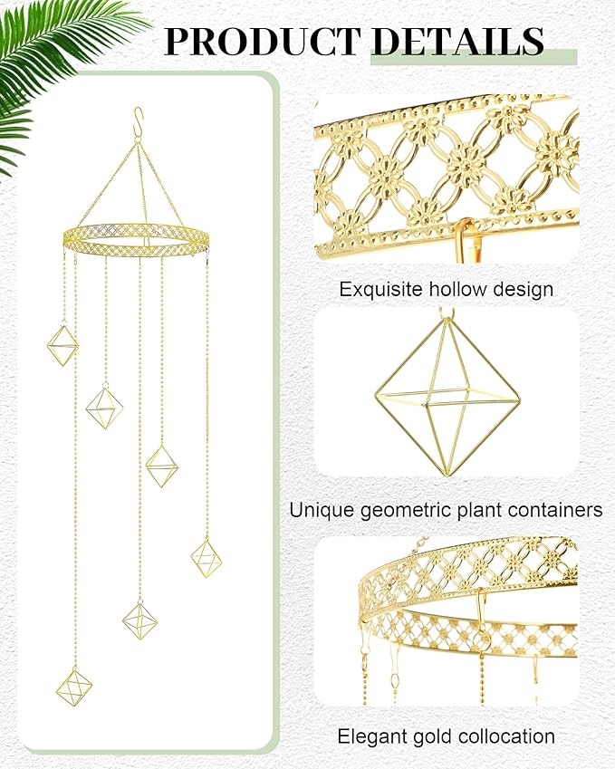 Willinglong 6 Pcs Hanging Air Plant Holder, Gold Tillandsia Air Plant Holders Unique, Airplants Live Holders, Air Fern Macrame Display for Indoor Home Office Ceiling Wall Decor