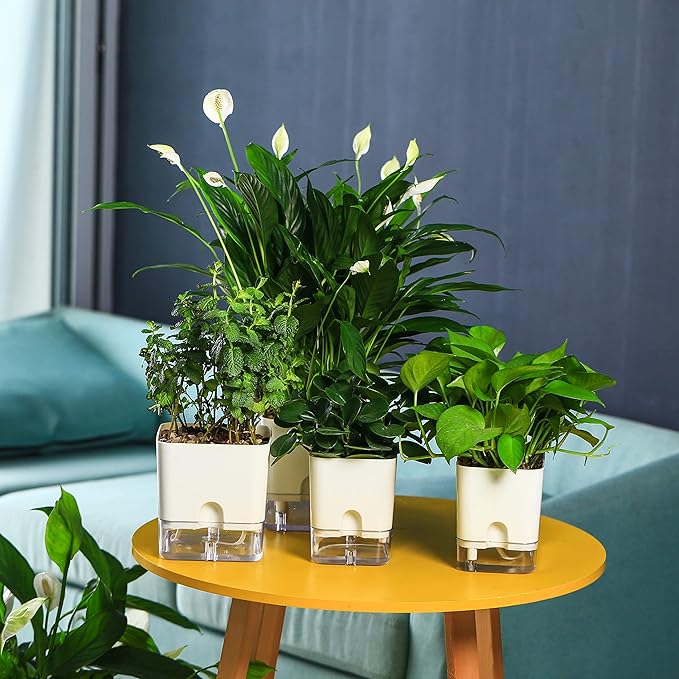 Planterhoma Self Watering Plant Pots for Indoor Plants 5.5 inch, 3 Packs Square Self-Watering Planters with Drainage Hole, White African Violet Pots for Devil's Ivy, Spider Plant, Orchid, Herb