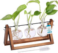 BIRDROCK HOME Plant Propagation Station | 3 Bulb Vase with Wooden Stand Terrarium | Great Gift Idea for the Home Office Garden | Hydroponics Plants