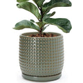 D'vine Dev 8 Inch Ceramic Beaded Stoneware Planter Pot - Flower Pot with Drainage Holes and Saucers for Indoor Succulent Plants or Flowers, Olive, 27-C-Q-0