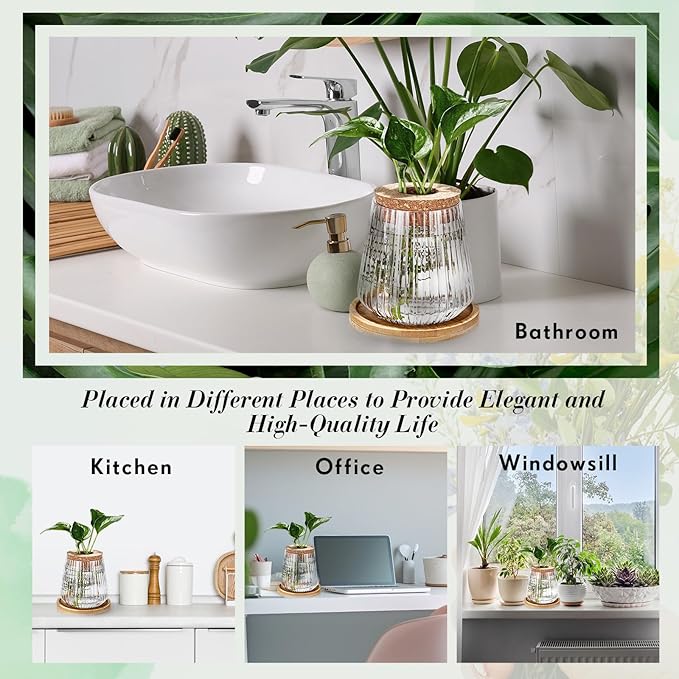 Baderke 12 Packs Propagation Vases for Plants Plastic Plant Propagation with Hole Lid and Bamboo Stand Growing in Water Hydroponic Home Office Desktop Vase Decoration