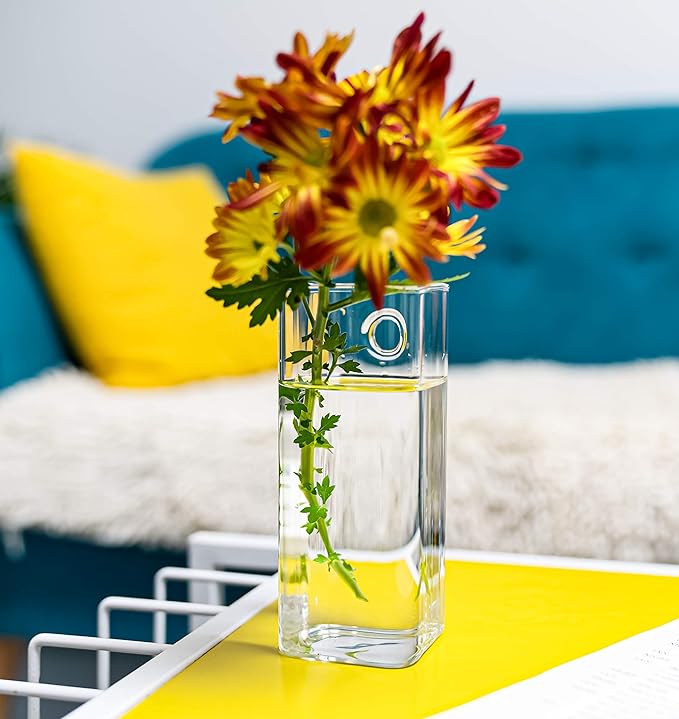 4 Pack Wall Hanging Planters Glass Terrariums - Rectangle Shape Plants Holders Flowers Glass Wall Vase Containers for Plant, Decoration and Display
