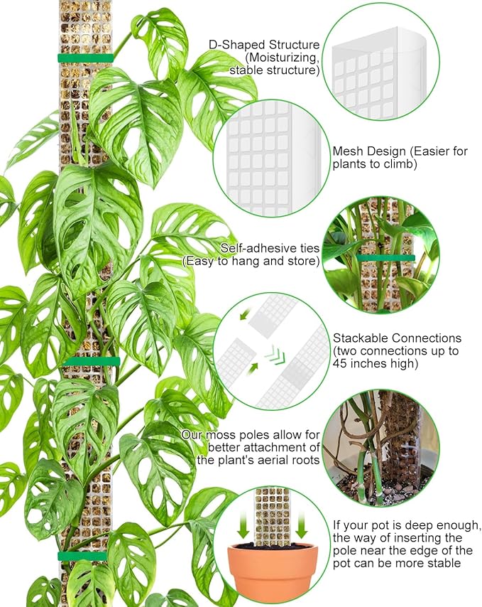 4 Pcs Large D Shaped Poles for Monstera, 24 Inch Plastic Moss Pole for Indoor Climbing Plants, Stackable Plant Support Kit Work with Sphagnum Moss
