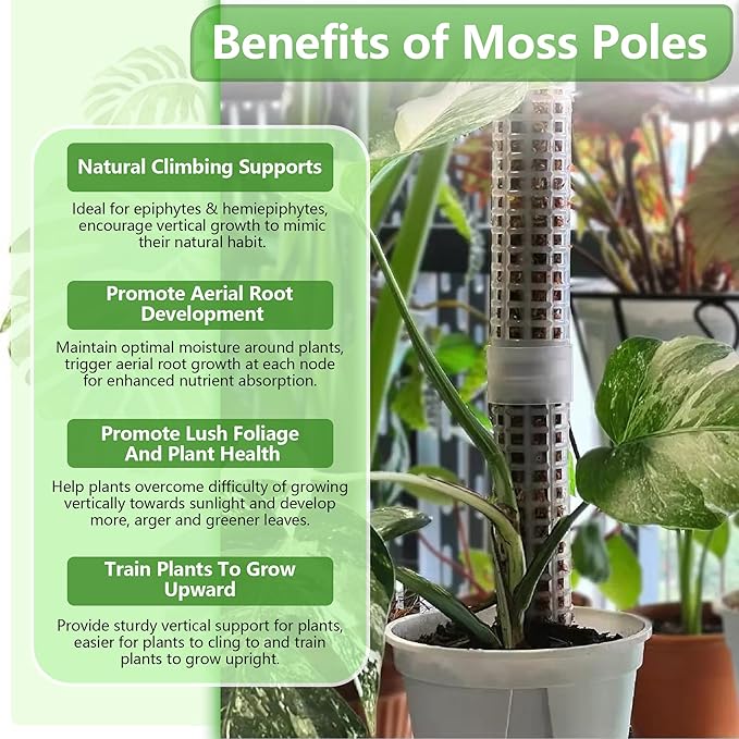 Sturdy Moss Poles for Climbing Plants - Extendable & Adjustable Small Moss Pole Monstera Plant Support Ideal for Indoor and Climbing Plants & More, Extendable Length 11.1'' to 31.2'', Set of 5