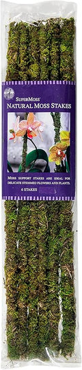 SuperMoss (22050) Moss Stakes Preserved, Fresh Green, 18" (Pack of 6)