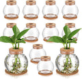 Baderke 12 Packs Propagation Vases for Plants Plastic Plant Propagation Station with Hole Lid and Cork Coasters Plant Growing in Water Hydroponic Home Office Table Decoration(Fish Bowl Style)