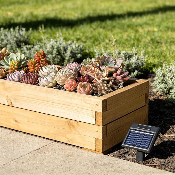 24 Pack Succulents Plants Live, Assorted Mini Succulents Bundle, Easy Care Bare Root Succulent Plants for Indoor Outdoor Decor, Home Office Desk, Terrarium DIY, Gift for Plant Lovers