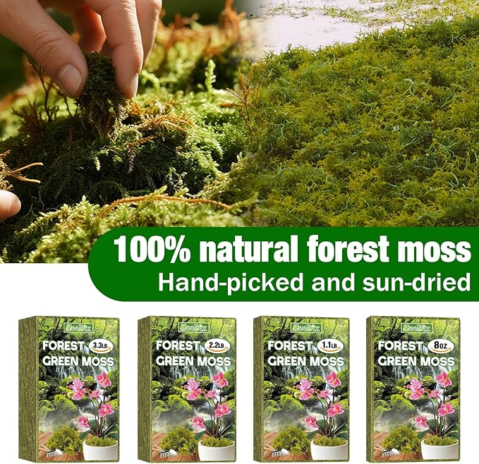 ZeeDix 1.1 lb Forest Moss for Plants Indoor - Dried Orchid Moss for Repotting, Natural Green Sphagnum Moss for Potted Plants Carnivorous Monstera Succulents Crafts Reptile Habitat (Expands to 25 qt)