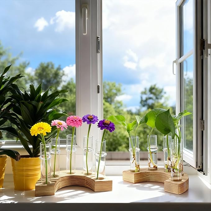 Plant Propagation Station with Wooden Stand, Glass Propagation Vase for Plants, Plant Terrarium Birthday Gifts for Women Mom Plants Lovers, Home Office Garden Decor, 5 Glass Tubes