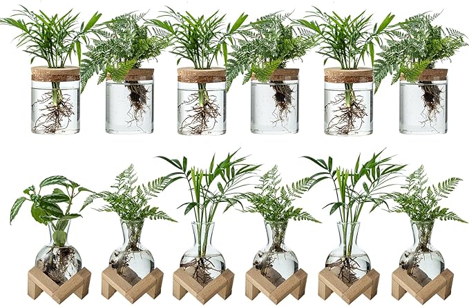 Plant Propagation Station, 2 Style Glass Planter Terrarium Set for Hydroponic Plants | Home Office Tabletop Decor, Gardening Gifts for Women, Mom, Plant Lovers (12)