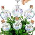 6 Pcs Plant Watering Globes Self Watering Globes Cactus Self Watering Planter Insert Automatic Plant Watering Devices Glass Plant Watering Bulbs for Summer Indoor and Outdoor Plants(Mixed Color)