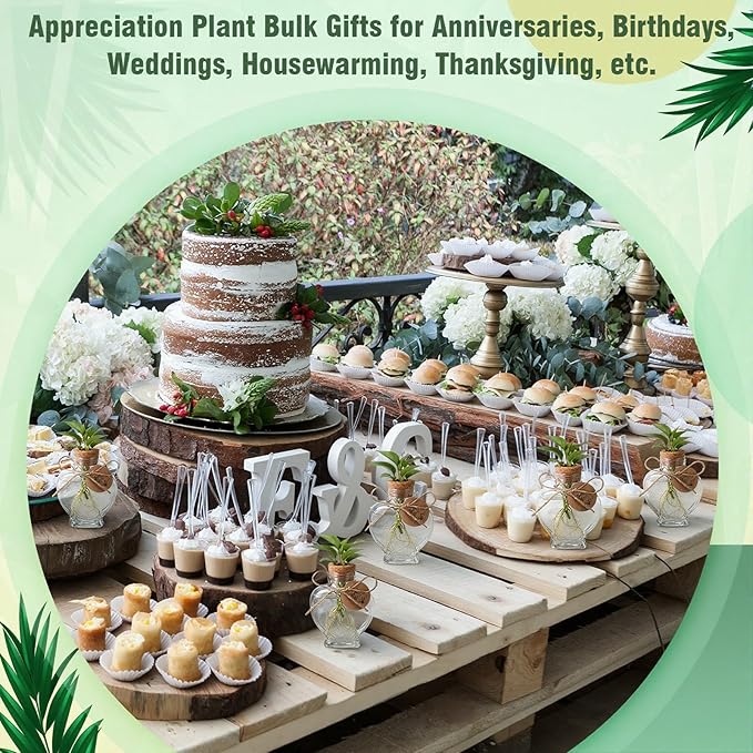 Baderke 24 Pack 3.74'' Plastic Plant Propagation Stations with Hole Lid 5oz Planter Vase Clear Propagation Jars with Thank You Tags for Plant Lover Gifts for Women Office Home Garden