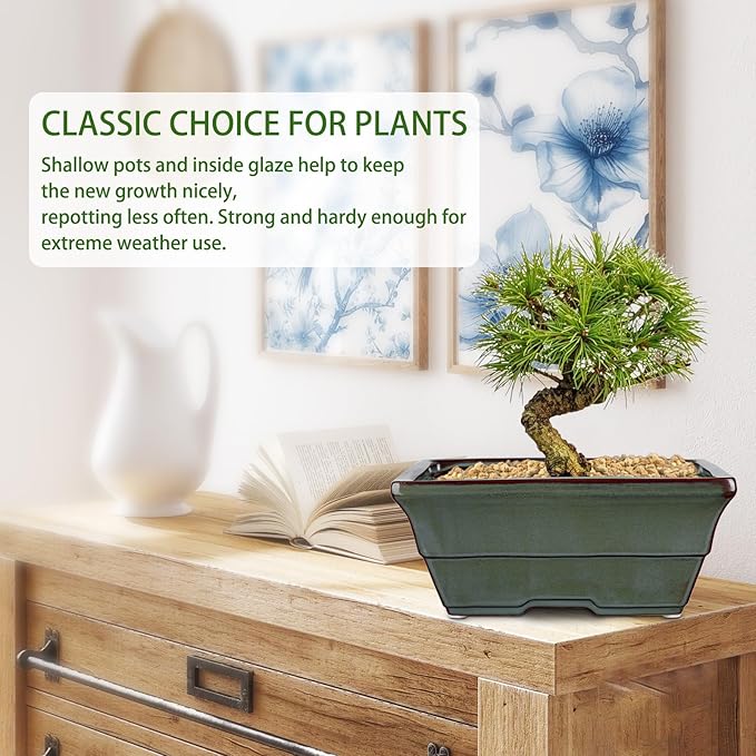 Set of 2 Large Green Glazed Ceramic Bonsai Pots, 10" Rectangular Bonsai Planters Pots with Drainage Hole for Indoor/Outdoor Plants, Bonzie Tree Pot for Succulents, Cacti, Orchids, Herbs, Spider Plants