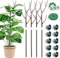 ROADPLUM 4 Pack 27.56" Detachable Twig Plant Support Stakes Set, Blends in to Plant, Branch Plant Sticks with Orchid Clips Twist Plant Ties, Twig Trellis for Indoor Outdoor Plants Potted Plants Flower