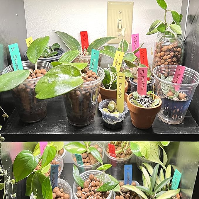 KINGLAKE Plant Labels 4 Inch - 300 Pcs Plastic Plant Tags Nursery Garden Labels Plants Markers for Outdoor Garden Waterproof Multicolored Plants Name Tags for Seedlings with Permanent Marking Pen