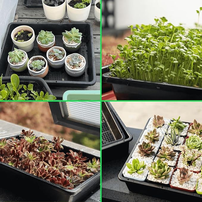 BeGrit Seed Starter Trays Mesh Tray 10-Pack 15x12 inch Plastic Plant Trays Garden Seedling Starter Kit Succulent Transport Pots Bonsai Training Pots