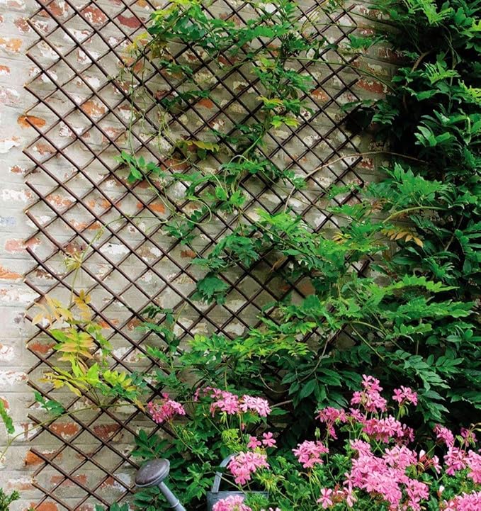 Sumery Nature Willow Trellis Expandable Plant Support Plant Climbing Lattices Trellis Willow Expandable Trellis Fence for Climbing Plants Support 36x92 Inch,Double Panel (2, Willow Wicker Fence)