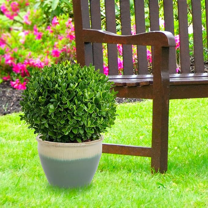 Sunnydaze Large Ceramic Plant Pot - Round Outdoor Glazed Ceramic Planter Pot with Drainage - Chalet - Seafoam - 14.5"