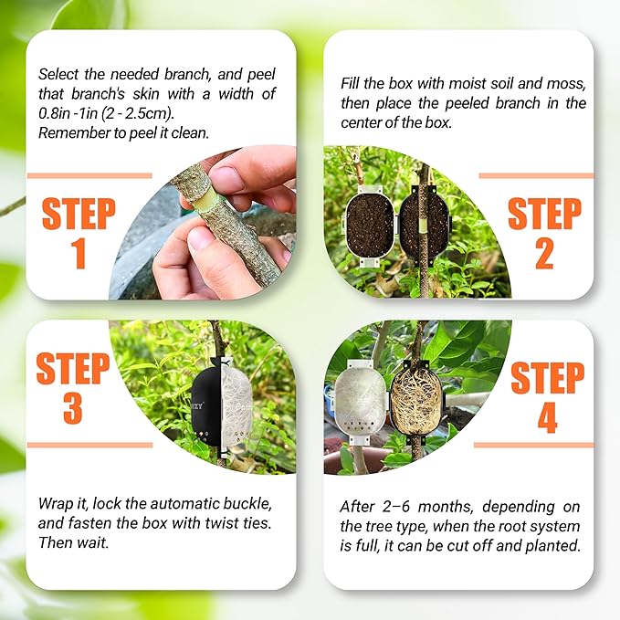 PAMAZY [Upgraded] 9Pcs Tree Root Growing Box with Drain Holes, Half Transparent Plant Rooting Propagation Ball & Metal Core Twist Ties, for Fast Propagation Plants (Size M)
