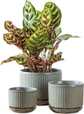 SURE YUESI Green Ceramic Plant Pots Set of 3 (4.3”+5.5”+6.7”), Indoor Striped Planters with Drainage Hole, Mesh Pads, Decorative Pots for Plants & Gardening