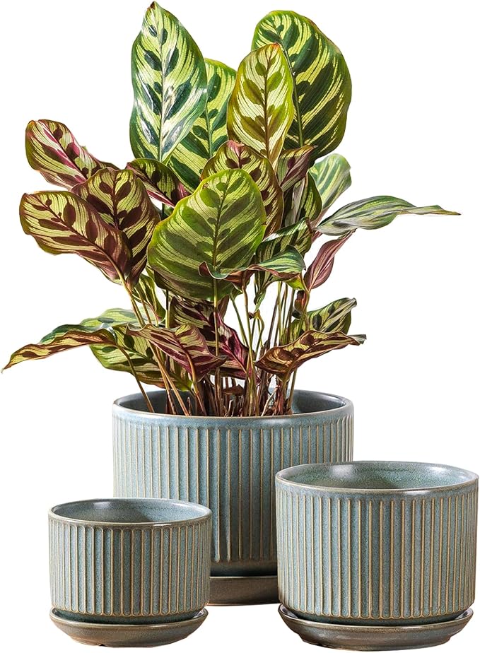 SURE YUESI Green Ceramic Plant Pots Set of 3 (4.3”+5.5”+6.7”), Indoor Striped Planters with Drainage Hole, Mesh Pads, Decorative Pots for Plants & Gardening