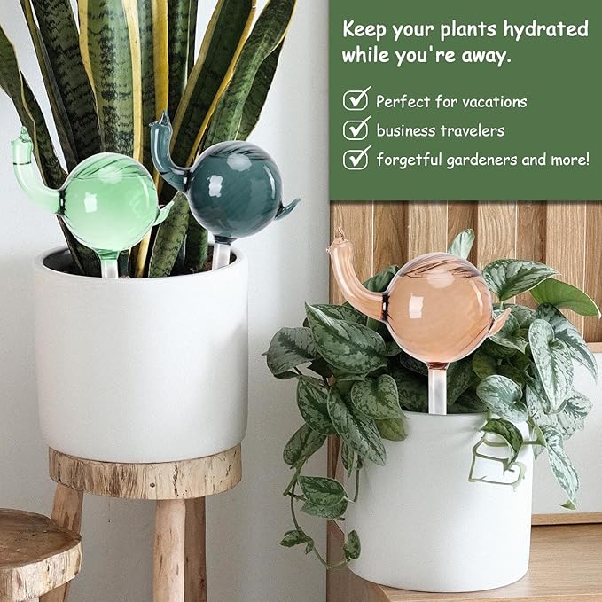 Glass Plant Watering Globes 3PCS Plant Watering Devices Self Watering Planter Insert Automatic Plant Waterer Indoor Snail Decoration