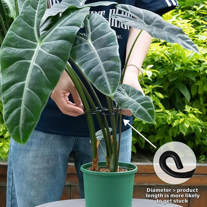 Yohsnor Monstera Plant Support Hook - 4.1x4.1IN 5PCS, Durable Adjustable Stem Support System, Gentle Protection for Monstera and Fishbone Cactus, Professional Indoor Plant Stabilizer