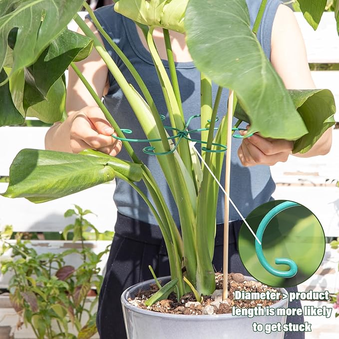 Yohsnor Monstera Plant Stem Support 5 Pcs - 7.5” Indoor Plant Stabilizer Holder for Monstera & Climbing Plants - Durable, Lightweight, Easy to Use for Optimal Growth & Stability - Home Décor Friendly